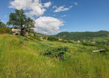 rosola  (3).jpg - Rustic Zocca - photo 8