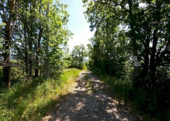 rosola  (4).jpg - Rustic Zocca - photo 10