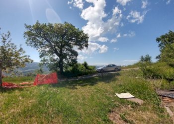 rosola  (5).jpg - Rustic Zocca - photo 12