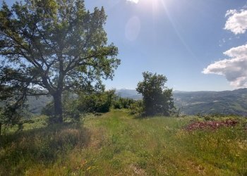 rosola  (6).jpg - Rustic Zocca - photo 14