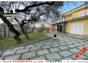 Il giardino a piano terra - Villa Cogorno - foto 14