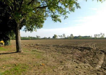 Villa Bifamiliare Ravenna - foto 15