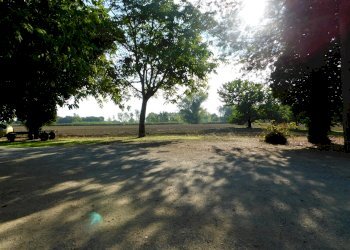 Villa Bifamiliare Ravenna - foto 16