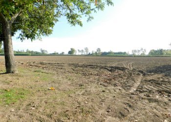 Villa Bifamiliare Ravenna - foto 19