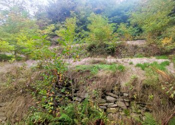 Independent house Via Castello, Barge - photo 18