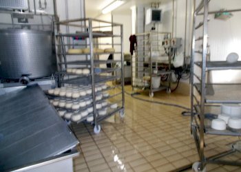 DSCN3857.JPG - Laboratorio Maltignano - foto 4