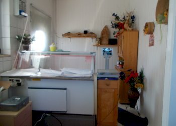 12 POGGIO DI BRETTA- laboratorio caseario.JPG - Laboratorio Maltignano - foto 9