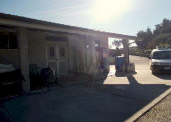 DSCN3855.JPG - Laboratorio Maltignano - foto 11