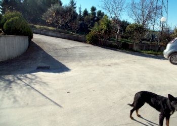 DSCN3860.JPG - Laboratorio Maltignano - foto 12