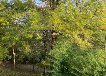 Baita Brossasco borgata Fasciot, Brossasco - photo 25