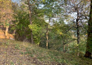 Baita Brossasco borgata Fasciot, Brossasco - photo 27