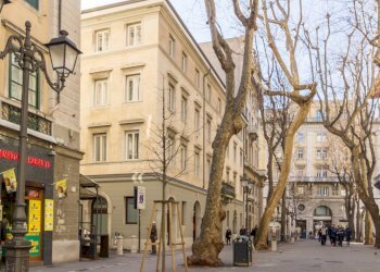 Locale Commerciale Viale XX Settembre, Trieste - foto 3