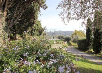 vendesi casa colonica con piscina ristrutturataven - Casale Via San Gemma Galgani 4, Pescaglia - foto 23