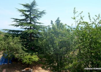 Rif 626 (16).JPG - Bilocale Ponzone - foto 12