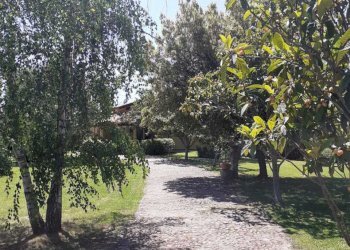 PHOTO-2022-10-07-15-09-21.jpg - Villa Pietrasanta - photo 4