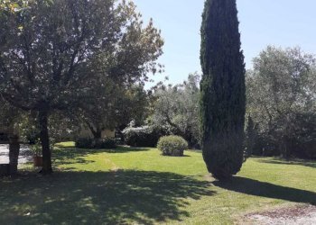 PHOTO-2022-10-07-15-09-22 2.jpg - Villa Pietrasanta - photo 6