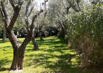 PHOTO-2022-10-07-15-09-24.jpg - Villa Pietrasanta - photo 9