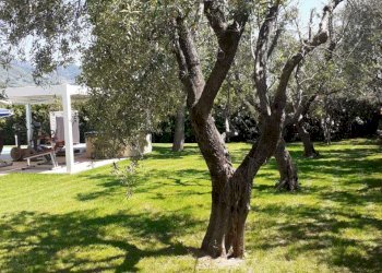 PHOTO-2022-10-07-15-09-25.jpg - Villa Pietrasanta - photo 12