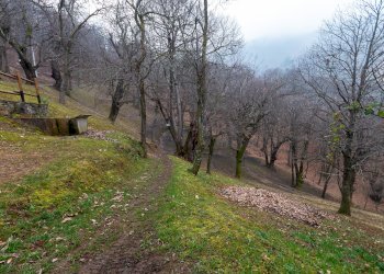Rustic Roata Battistella, Cervasca - photo 18