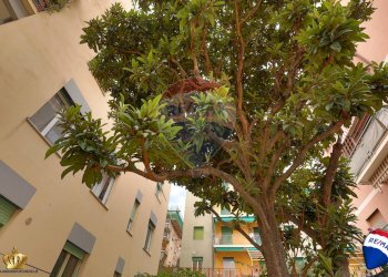 Trilocale Via Alberto Guglielmotti, 37 
 Pegli, Genova (zona Pegli) - foto 6