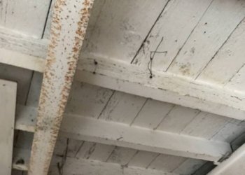 Magazzino Ferrara (zona Centro Storico) - foto 4