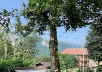 GIARDINO - Three-room apartment via Cave, 601, Bagnolo Piemonte - photo 18