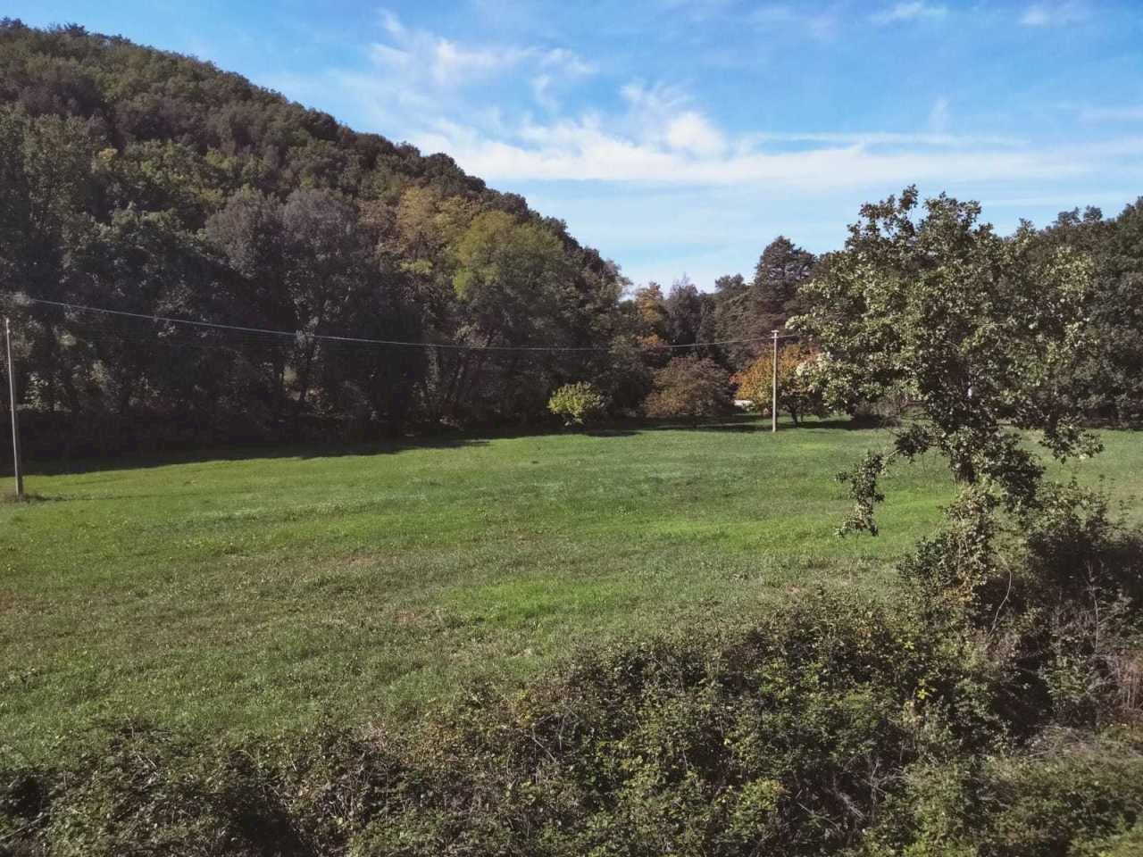 WhatsApp Image 2022-10-21 at 12.53.46 (1).jpeg - Agricultural land Amelia - photo 1