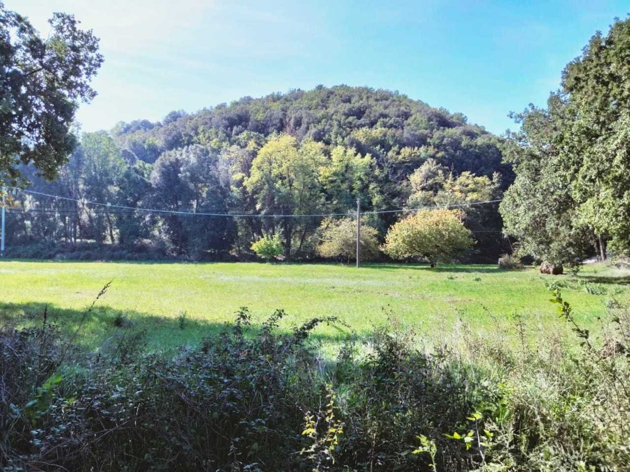 WhatsApp Image 2022-10-21 at 12.53.46 (2).jpeg - Agricultural land Amelia - photo 2