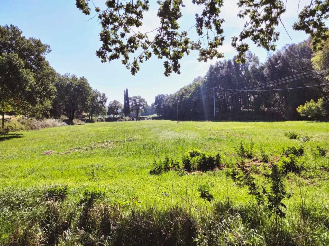 WhatsApp Image 2022-10-21 at 12.53.46 (3).jpeg - Agricultural land Amelia - photo 3