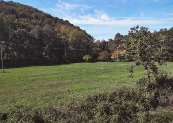 WhatsApp Image 2022-10-21 at 12.53.46 (1).jpeg - Agricultural land Amelia - photo 1