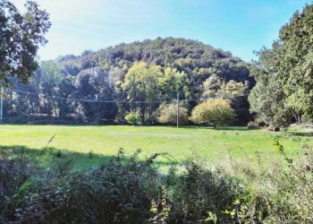 WhatsApp Image 2022-10-21 at 12.53.46 (2).jpeg - Agricultural land Amelia - photo 2