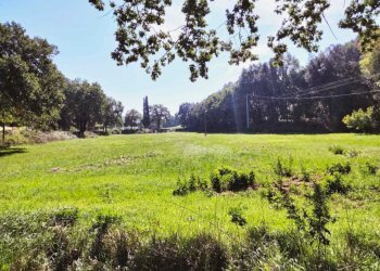 WhatsApp Image 2022-10-21 at 12.53.46 (3).jpeg - Agricultural land Amelia - photo 3