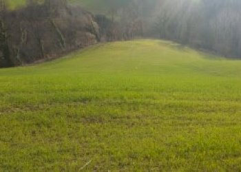 023 - 2.jpg - Independent house Mondavio - photo 2