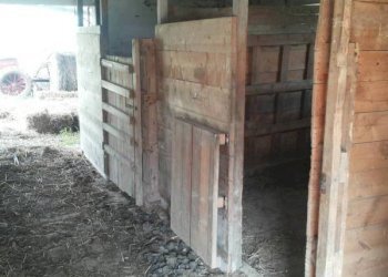 01 stalla.jpg - Independent house Mondavio - photo 5