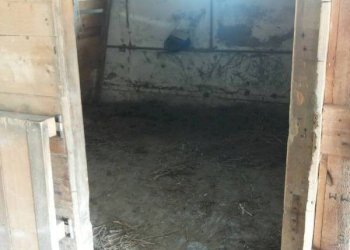 02 stalla.jpg - Independent house Mondavio - photo 6