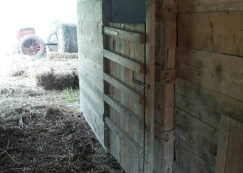 03 stalla.jpg - Independent house Mondavio - photo 7