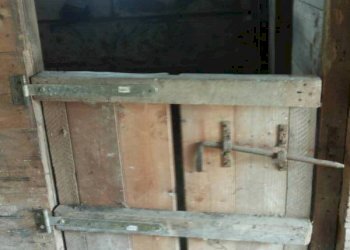 04 stalla.jpg - Independent house Mondavio - photo 8