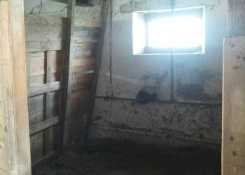 05 stalla.jpg - Independent house Mondavio - photo 9