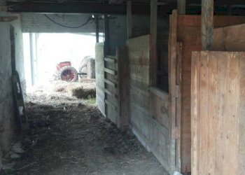 06 stalla.jpg - Independent house Mondavio - photo 10