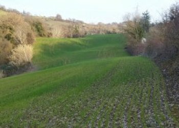 023 - 6.jpg - Independent house Mondavio - photo 28