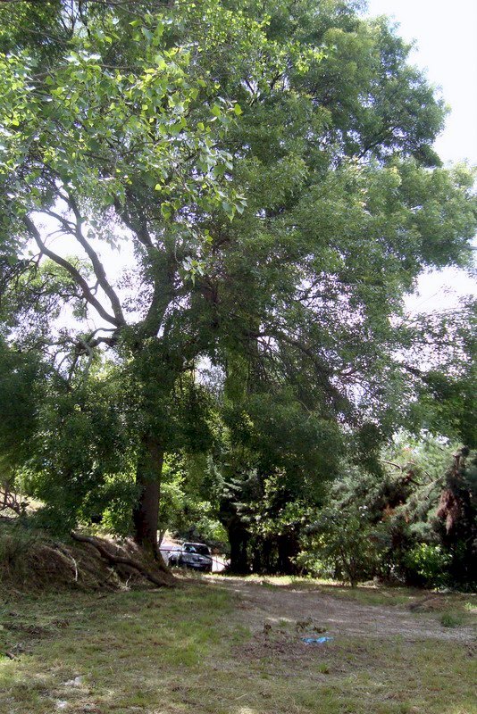 FERMO-CASALE DI CAMPAGNA-.JPG - Casa indipendente Fermo - foto 1