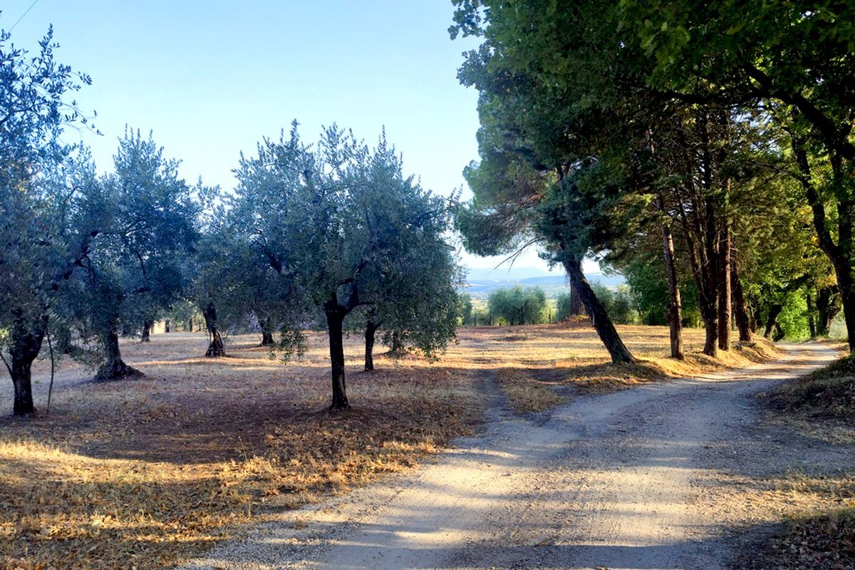 casale in pietra baschi orvieto02.jpg - Rustic via dell'annuziata  180, Baschi - photo 2
