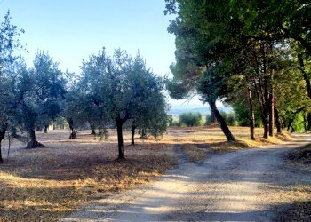 casale in pietra baschi orvieto02.jpg - Rustic via dell'annuziata  180, Baschi - photo 2