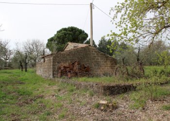 IMG_0750.JPG - Rustic via dell'annuziata  180, Baschi - photo 10