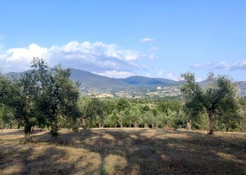 casale in pietra baschi orvieto14.jpg - Rustic via dell'annuziata  180, Baschi - photo 11