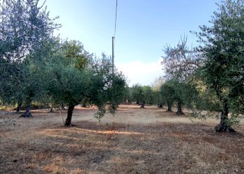 casale in pietra baschi orvieto15.jpg - Rustic via dell'annuziata  180, Baschi - photo 12