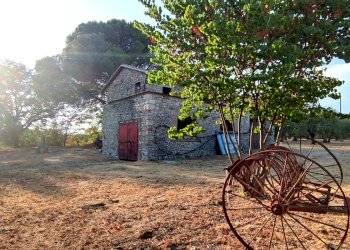 casale in pietra baschi orvieto12.jpg - Rustic via dell'annuziata  180, Baschi - photo 20