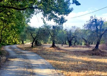 casale in pietra baschi orvieto05.jpg - Rustic via dell'annuziata  180, Baschi - photo 21