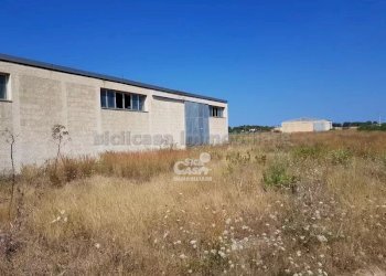 Capannone Marsala - foto 3