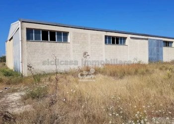 Capannone Marsala - foto 4